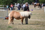 WJ6_9124