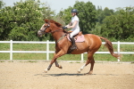 SBM_012329