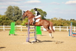 SBM_007903