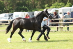 SBM_02255