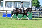 SBM_12118