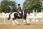 SBM_01139