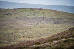 Black Combe-2