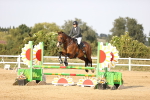 SBM_03995