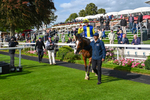 230824-Race 5-Canoodled-9299