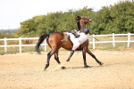 SBM_001145
