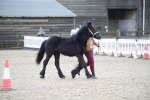 SBM_004001