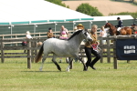 SBM_02379