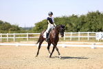 SBM_005523