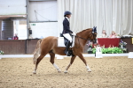 SBM_016299