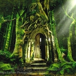 The Emerald Forest