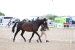 SBM_15252