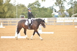 SBM_10155