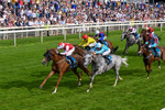 230526-Race 7-Golden Strike-0693