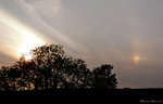 Sundog