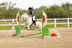 SBM_003885