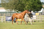 SBM_10493