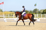 SBM_009566