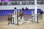 SBM_003886