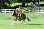 SBM_47118