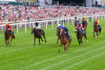 260725-Race 1-Golden Palace-7078