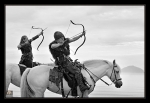 equiscot 2114