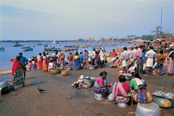 Vishinjum Fishing village, Thiruvananthapuram - Kerala