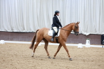 SBM_003372