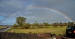 TOLL NEWTONGRANGE