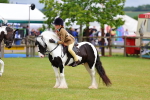 SBM_02659