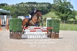 BPP_2161