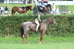 SBM_51848