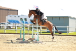 SBM_001781