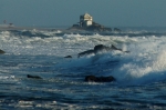 S da Pedra waves