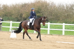 SBM_005911