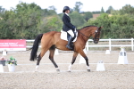 SBM_016075