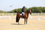 SBM_003390