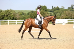 SBM_009153