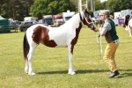 SBM_04189