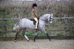 SBM_004640