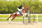 SBM_005198