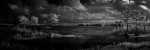 Cypress II