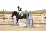 SBM_001036