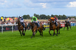 300826-Race 2-Jm Jungle-9674
