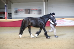 SBM_00560