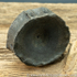 vert197 Ichthyosaurus sp Vertebrea