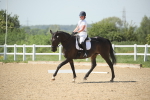 SBM_009684