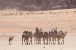 Wadi Rum 12