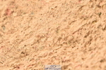 230610A-163308-04214