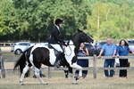 WJ7_3446